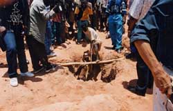 Illegal diamond miner emerges from a makeshift mine shaft in DRC, October 2001